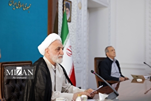 یکی از علل مهم تشکیل پرونده‌های کثیرالشاکی از نگاه رئیس قوه قضاییه