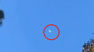 سقوط هواپیما در ایالت میشیگان آمریکا با ۳  کشته