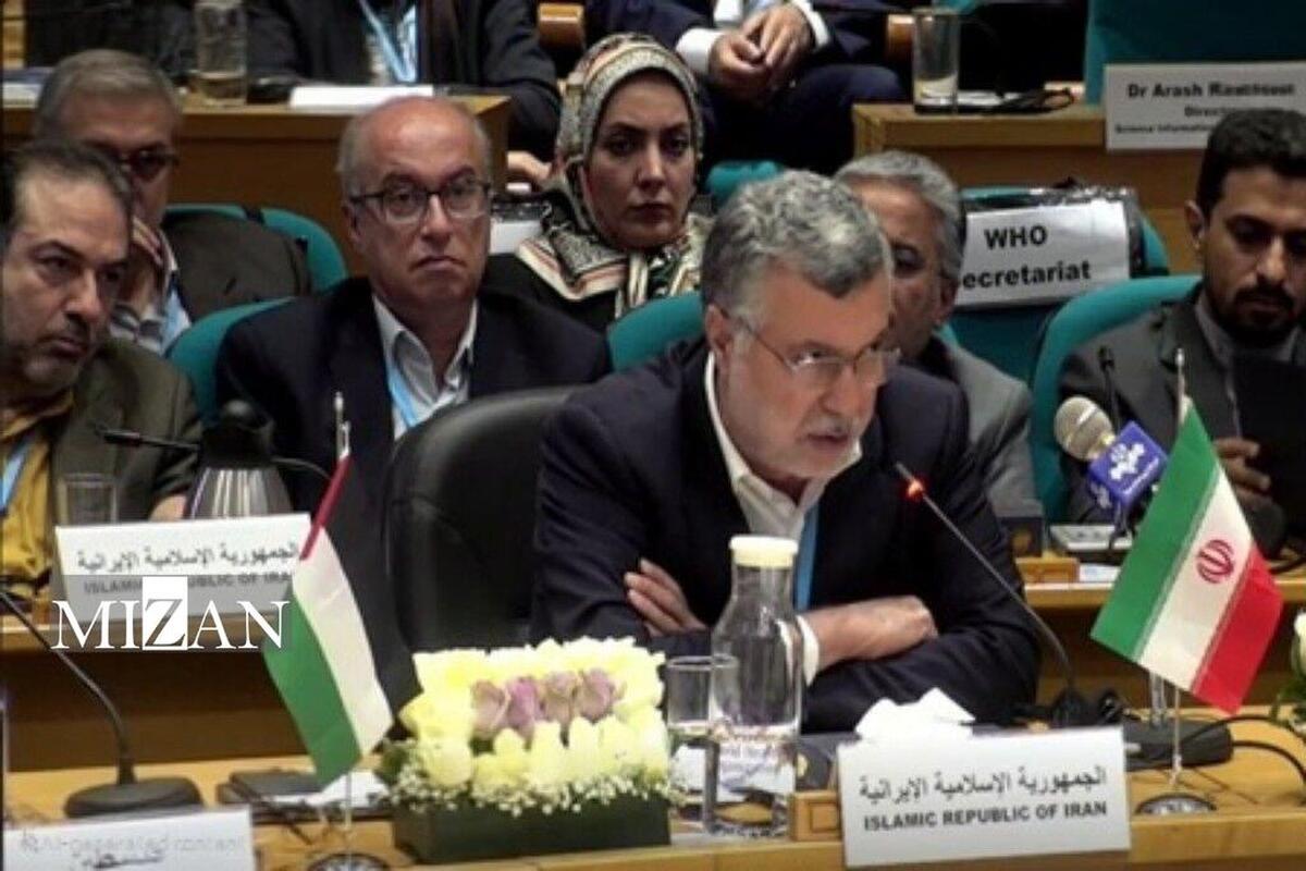 وزیر بهداشت: منابع ایران نزد سازمان جهانی بهداشت به‌سرعت تعیین‌ تکلیف شود