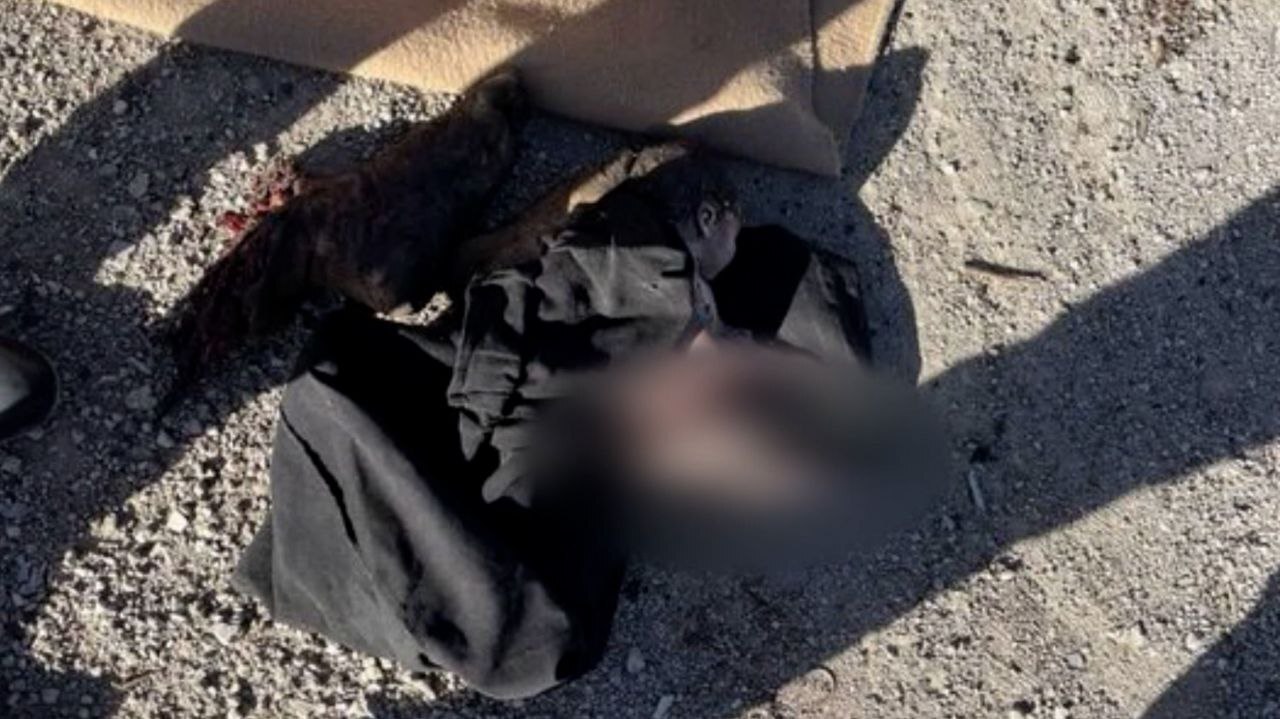 «ماهلین» روایتی از کودکی که در یک روز هم زمینی شد هم آسمانی