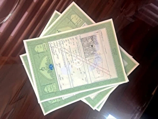 هشدار سازمان ثبت اسناد: خرید و فروش عادی املاک دارای سند سبز باطل است