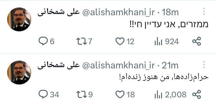 واکنش توییتری علی شمخانی به حواشی اخیر