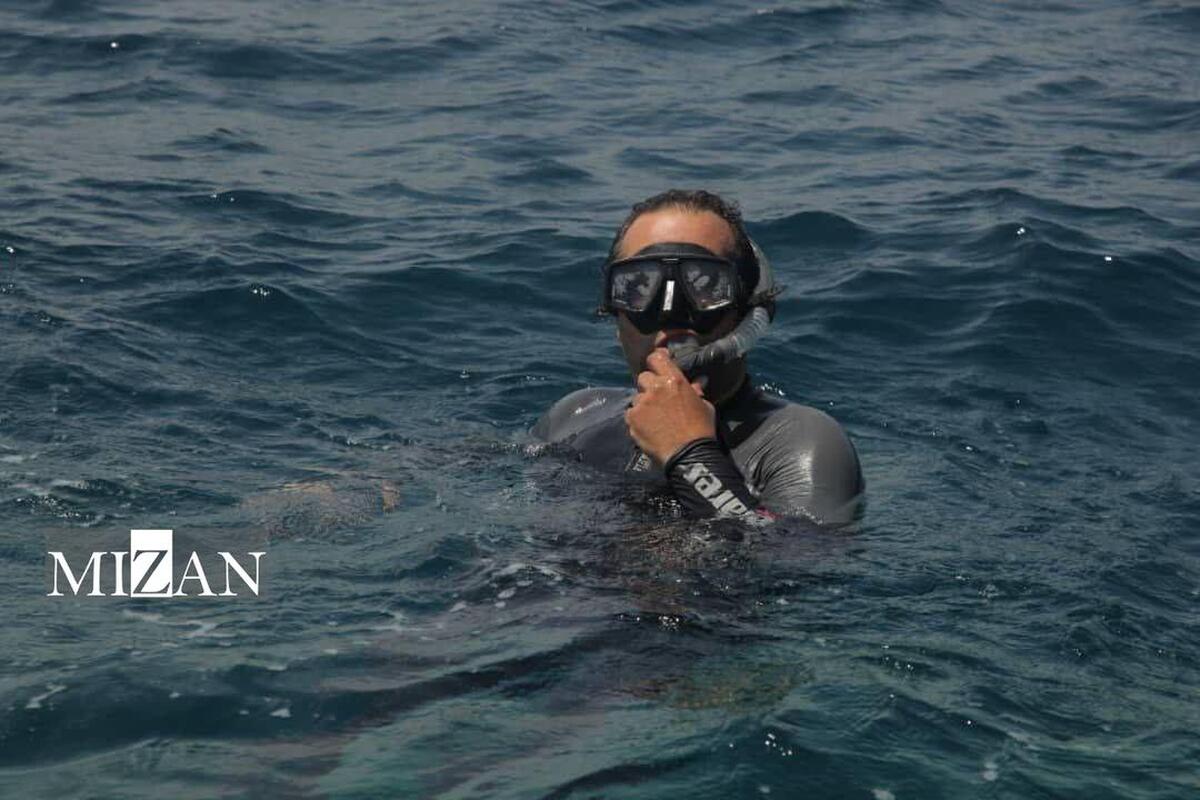 یک نمایش ویژه برای «آخرین کوسه نهنگ» در مرکز گسترش