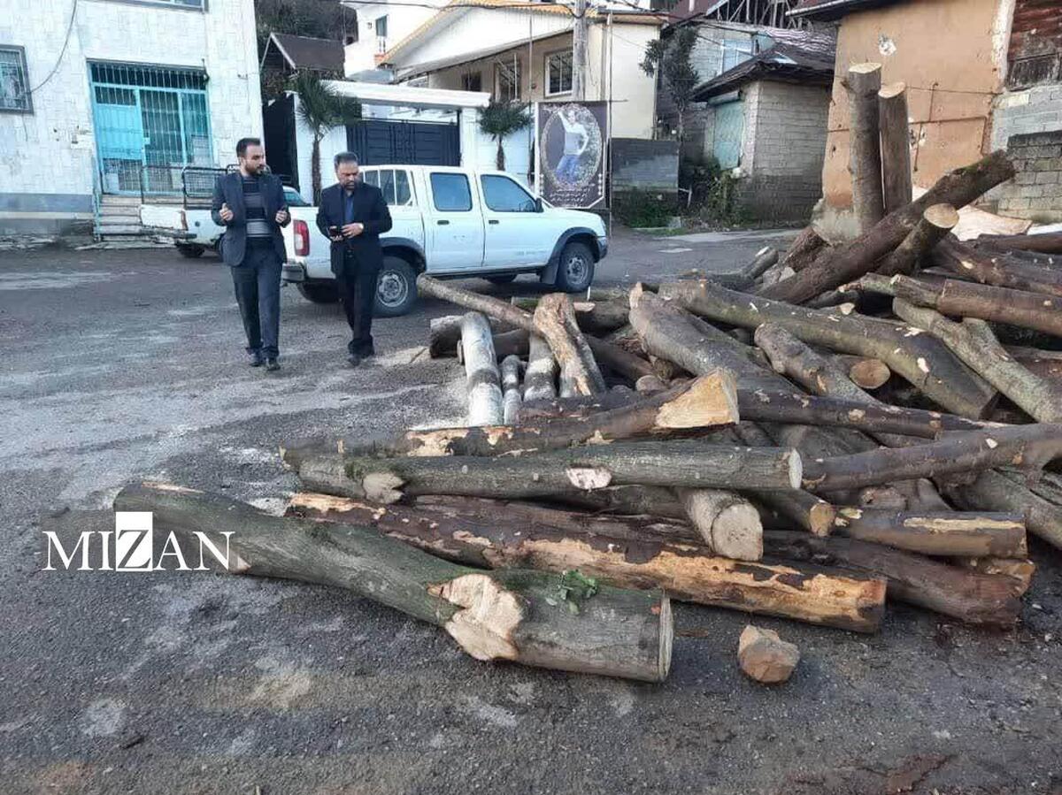 کشف و ضبط بیش از ۲۱ تن چوب قاچاق در مراکز نگهداری و دپوی چوب در ۶ ماهه سال جاری در شهرستان لنگرود