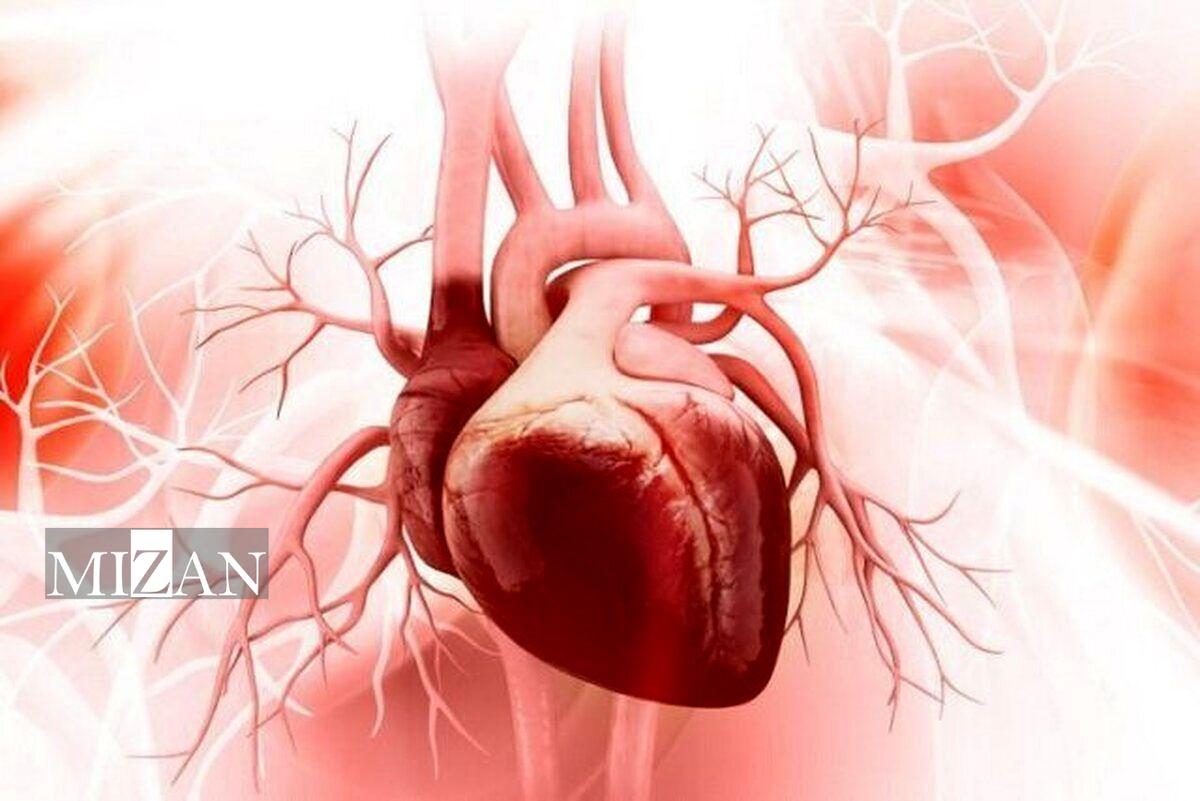 اقدامات ضروری که هنگام بروز درد قلبی باید انجام دهید