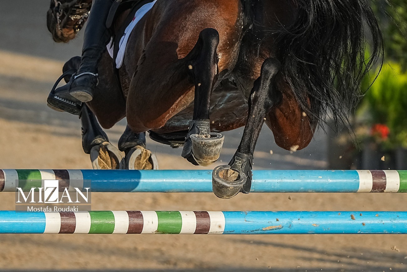 اسب‌های حرفه‌ای