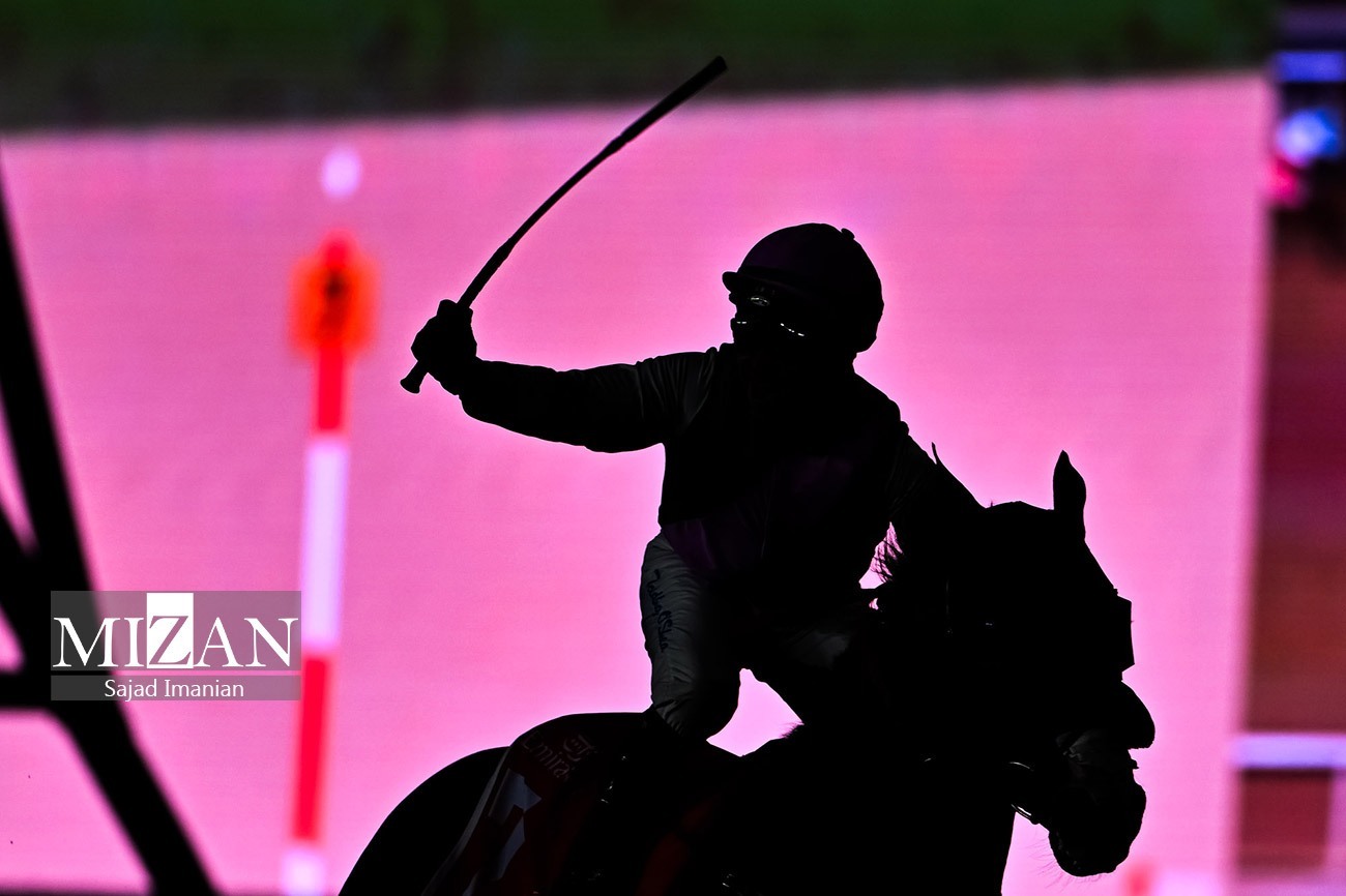 اسب‌های حرفه‌ای