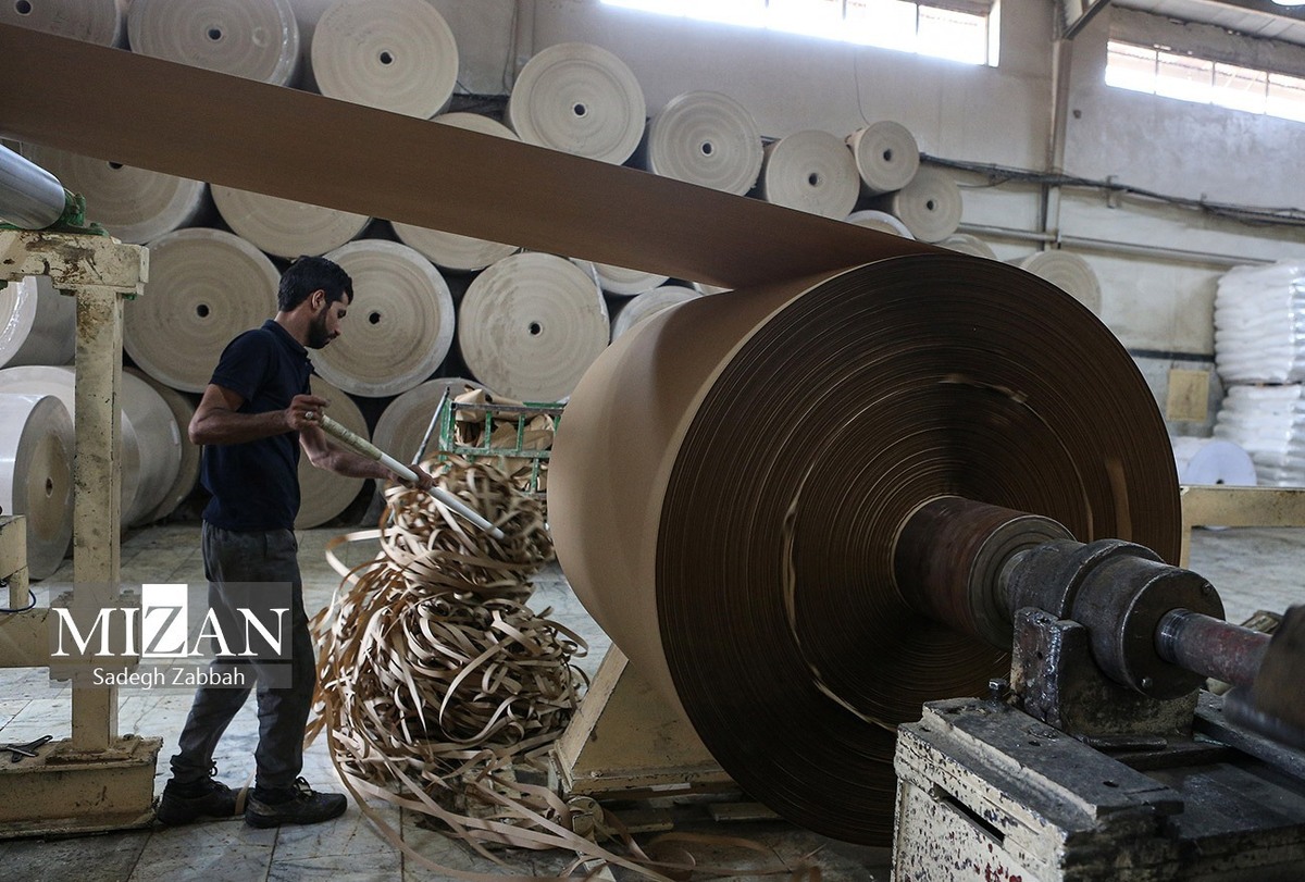 تاخیر در تخصیص وام‌های اشتغال؛ مجلس در حال پیگیری موضوع است