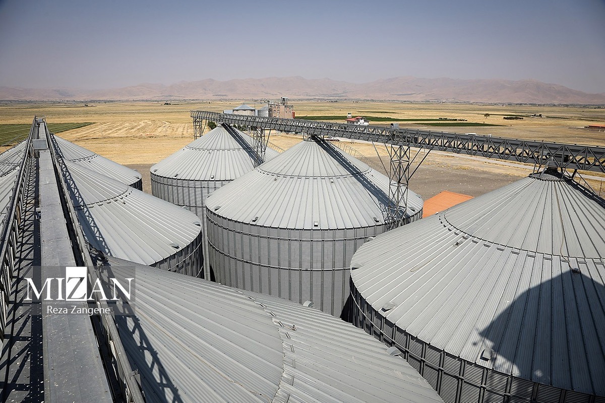 ناترازی ارزی و تأخیر در پرداخت‌ها عامل خروج بازار نهاده‌های دامی از تعادل