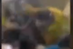 دستگیری بیش از هزار شرور در غرب تهران