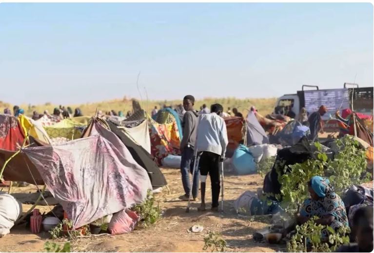 فاجعه انسانی در سودان؛ الفاشر کانون جنایت‌های جنگی