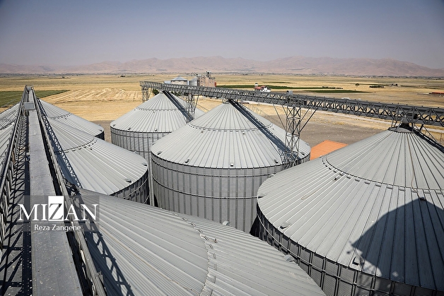 ناترازی ارزی و تأخیر در پرداخت‌ها عامل خروج بازار نهاده‌های دامی از تعادل