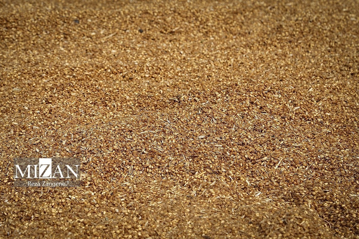 پیگیری اثربخش قوه قضاییه؛ رئیس سازمان دامپزشکی: با گشایش‌های ارزی، روند تامین نهاده‌های دامی رو به بهبود است