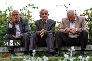 لزوم تدوین برنامه‌های جامع برای ارتقای کیفیت زندگی سالمندان در تهران