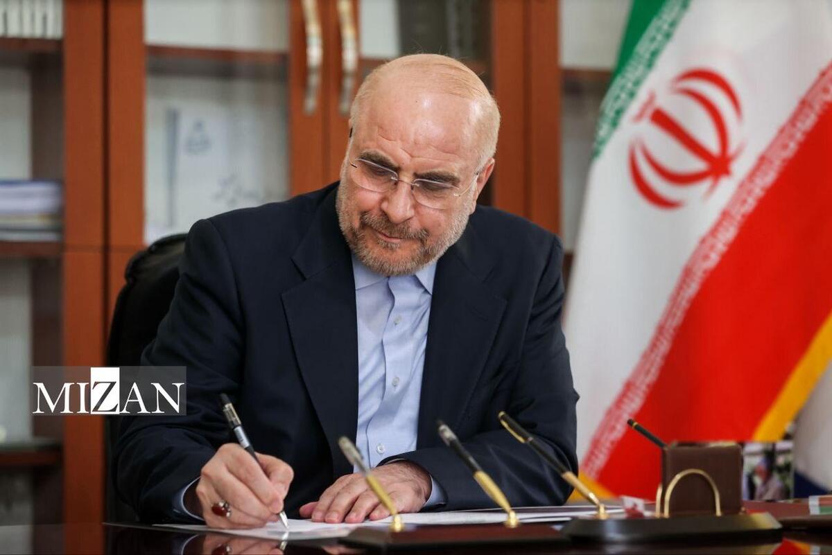 قالیباف: ما در مجلس شورای اسلامی ایران در مسیر توسعه همکاری‌ها با پاکستان گام برمی‌داریم