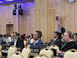 منشور حقوق بشر کوروش، جهانی شد