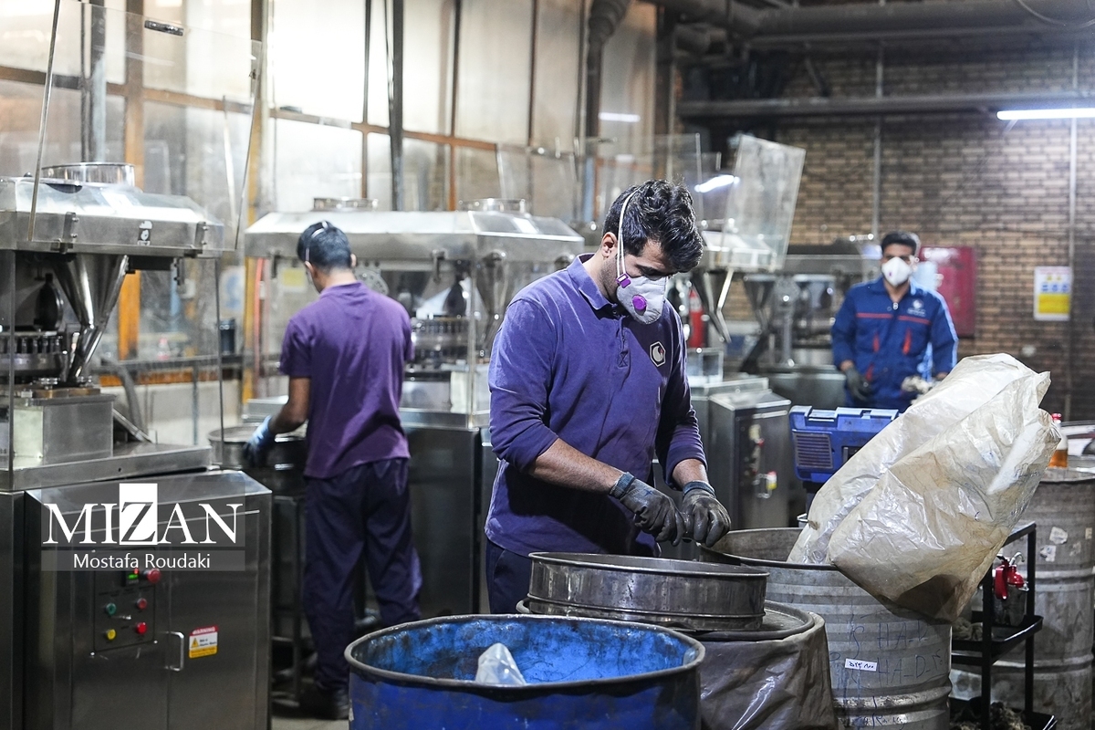 موانع ۶ طرح تولیدی و خدماتی در ستاد اقتصاد مقاومتی دادگستری استان ایلام بررسی شد