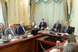 رئیس مجلس در دیدار با نخست وزیر پاکستان: کشورهای اسلامی با وحدت و انسجام می‌توانند در مقابل زیاده خواهی آمریکا بایستند