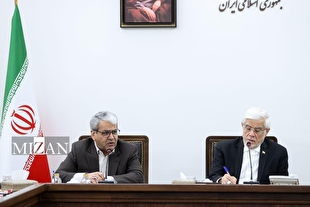 عارف: تجارب دولت‌های گذشته یک سرمایه محسوب می‌شود/ دولت نماینده اقتدار ملی است