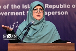 سخنگوی دولت: دولت تصمیمی برای حذف ارز ترجیحی کالاهای اساسی و دارو ندارد