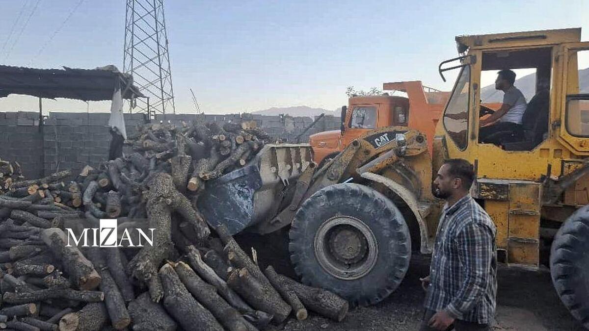 دادستان کازرون: ۲۵ تن هیزم و ۱۱ تن زغال از قاچاقچیان چوب کشف شد