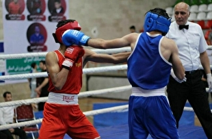 بلانش: حسینی در فدراسیون بوکس تصمیم‌گیرنده نیست/ در کارم دخالت می‌کنند