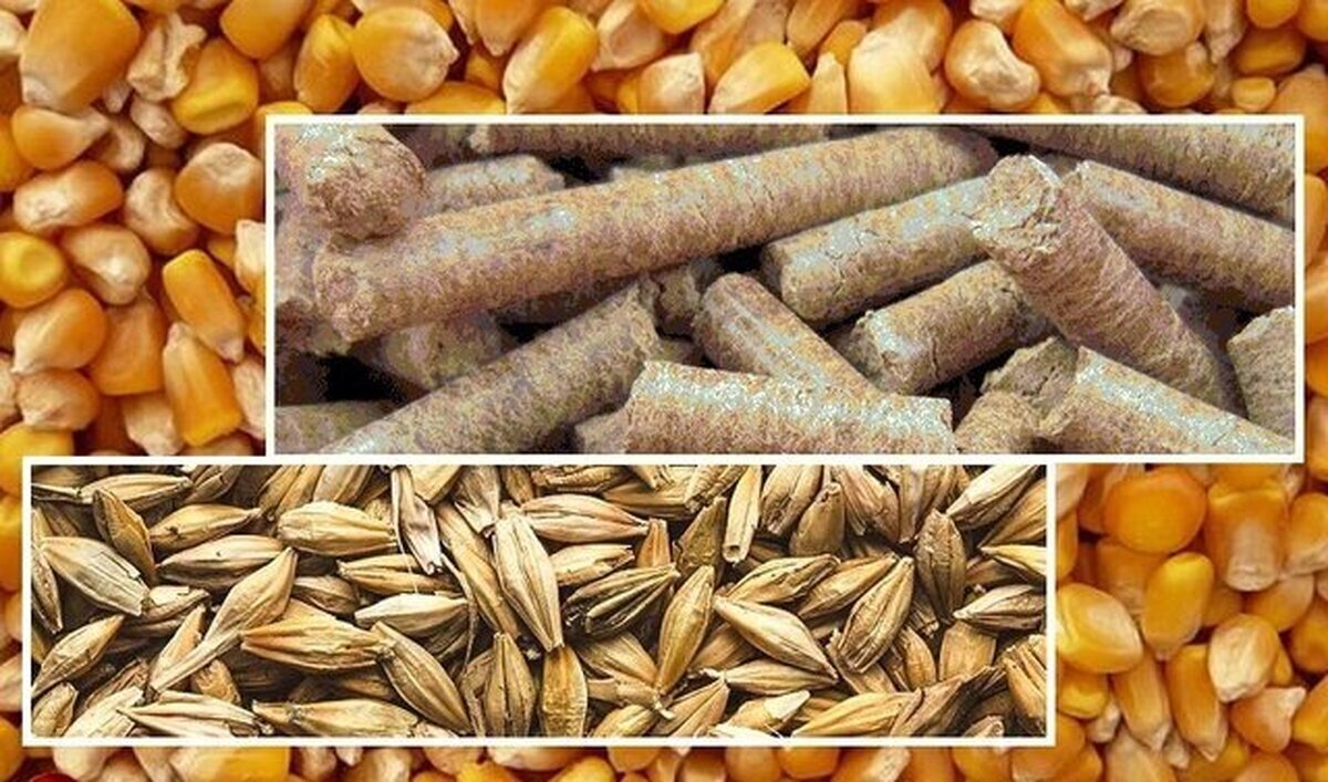 تشکیل پرونده قضایی برای مسئولین دولتی و واردکنندگان متخلف نهاده‌های دامی