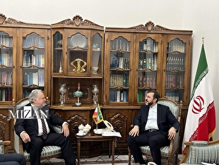 رایزنی غریب آبادی و کارشناس مستقل سازمان ملل درباره چگونگی تضعیف حقوق بین‌الملل درپی اقدامات آمریکا و رژیم صهیونیستی