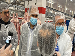 پیگیری تخصیص ارز برای واردات گوشت در بازدید بازرس سازمان بازرسی از مجتمع صنایع غذایی جنوب تهران