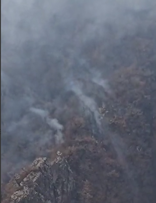 جنگل‌های الیت در آتش