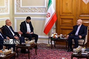 رئیس مجلس: جمهوری اسلامی ایران از تصمیمات ملی در لبنان حمایت می‌کند