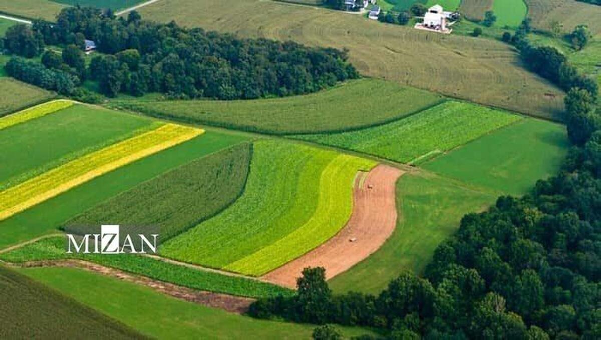 خلع ید بیش از ۲ هزار هکتار از اراضی ملی مازندران