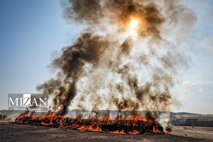 امحای ۲۰ تن موادمخدر در تهران/ کاهش معتادان متجاهر از ۲۱ هزار نفر به ۱۱ هزار نفر