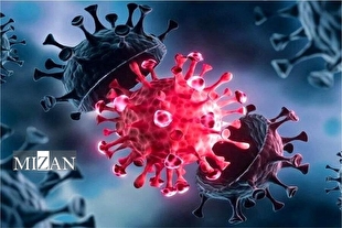 وزیر بهداشت: هیچ خبری از کرونا نیست