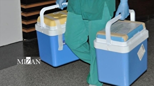 توطئه جهانی صهیونیست‌ها در قاچاق اعضای بدن