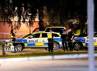 آمار جدید از سهم زنان در باندهای جنایت‌کار سوئد