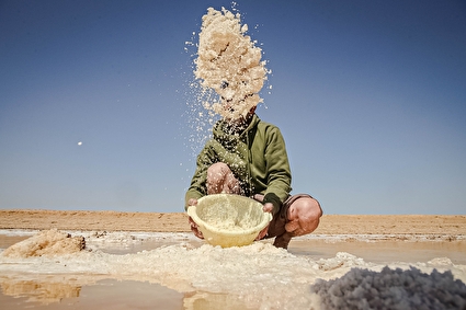 برداشت سنتی نمک