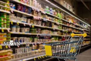 بررسی راهکار‌های هوشمندسازی توزیع کالا‌های اساسی در کمیسیون اصل نود