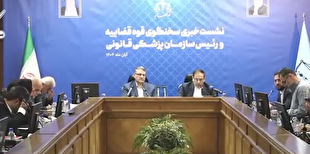 سخنگوی قوه قضاییه: ۱۵ نامه هشداری به مراجع ذی‌ربط درباره نهادهای دامی ارسال شده است