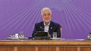 لزوم ساماندهی و تسهیل‌گری سفرهای خارجی اتباع کشورهای عضو اکو/ پیشنهاد لغو روادید و شناسایی متقابل گواهینامه‌های رانندگی