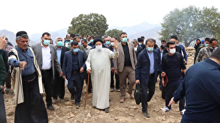 مستند بَلوط، کِل و دِل