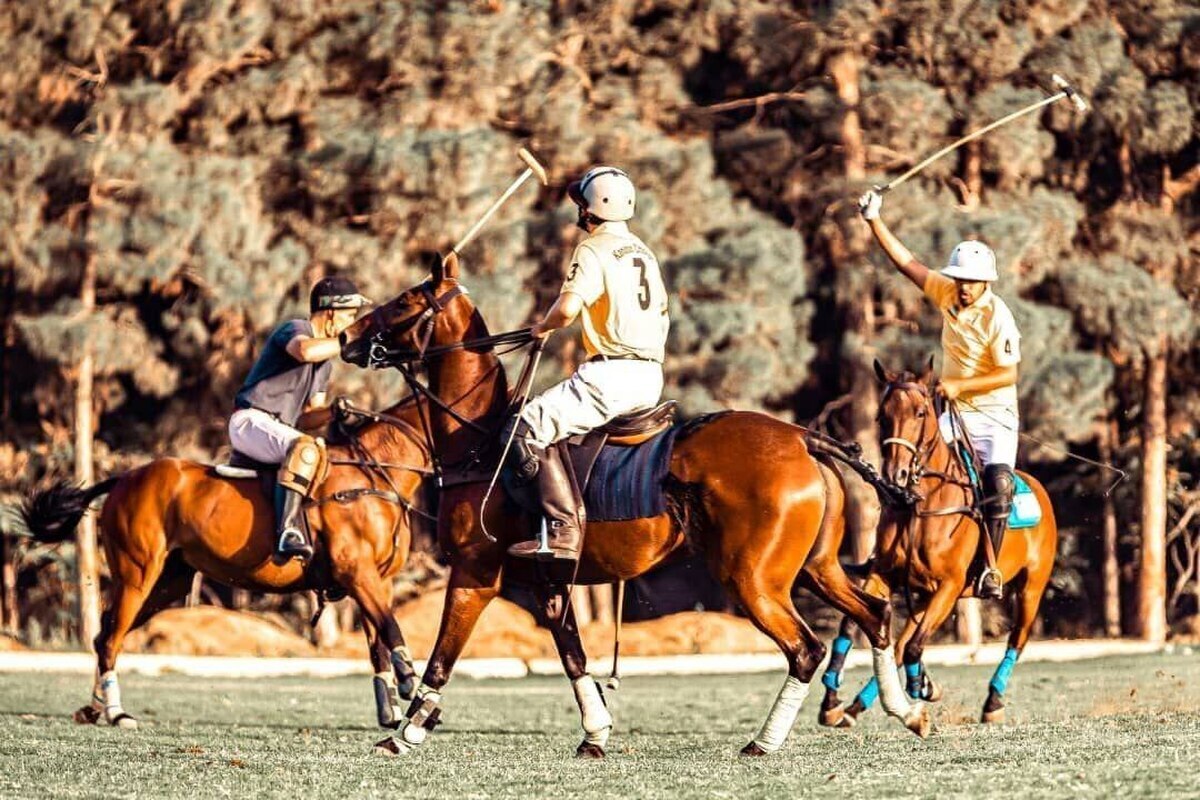 لیگ ملی چوگان| فراجا قهرمان هفته پانزدهم/ سفیران کره جنوبی و ژاپن مهمان ویژه مسابقات