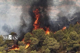استقرار بیش از ۴۰۰ نیروی متخصص برای اطفای حریق جنگل‌های هیرکانی الیت مازندران