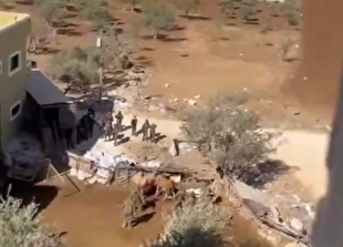 گاو دزدی سربازان رژیم صهیونیستی