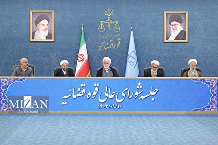 برخی رای خود به قانون اساسی را صراحتا زیر پا می‌گذارند