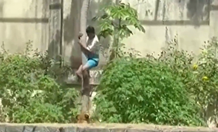 حمله شیر ماده به پسر ۱۹ ساله‌ای در برزیل