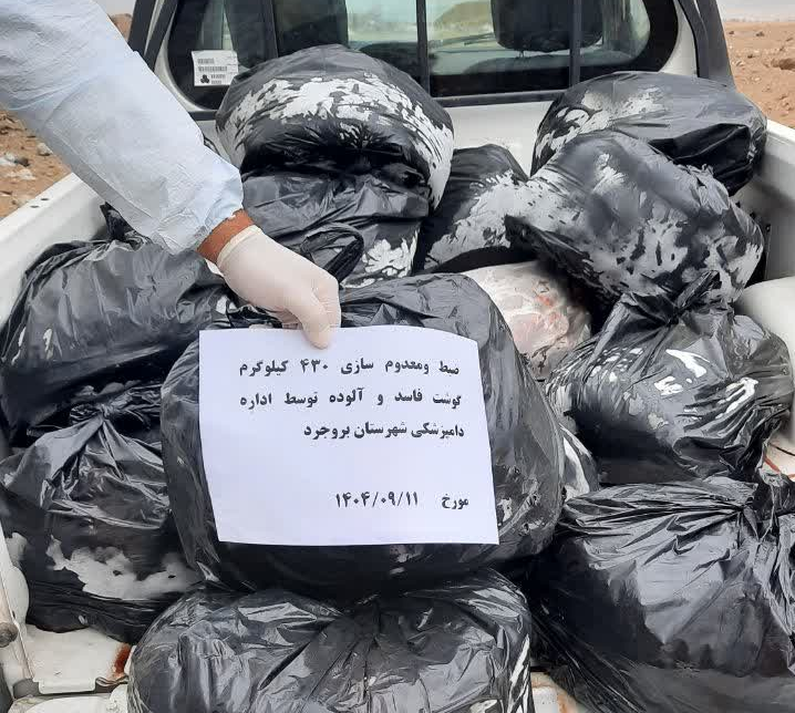 ۵۰۰ کیلوگرم گوشت حیوان تک سم در بروجرد معدوم شد 