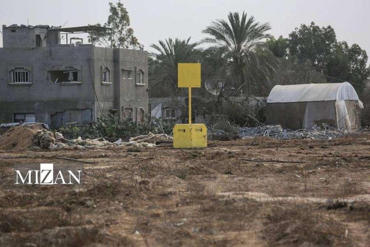 طرح آمریکا در غزه؛ اشغال، بازداشت گسترده و غارت منابع