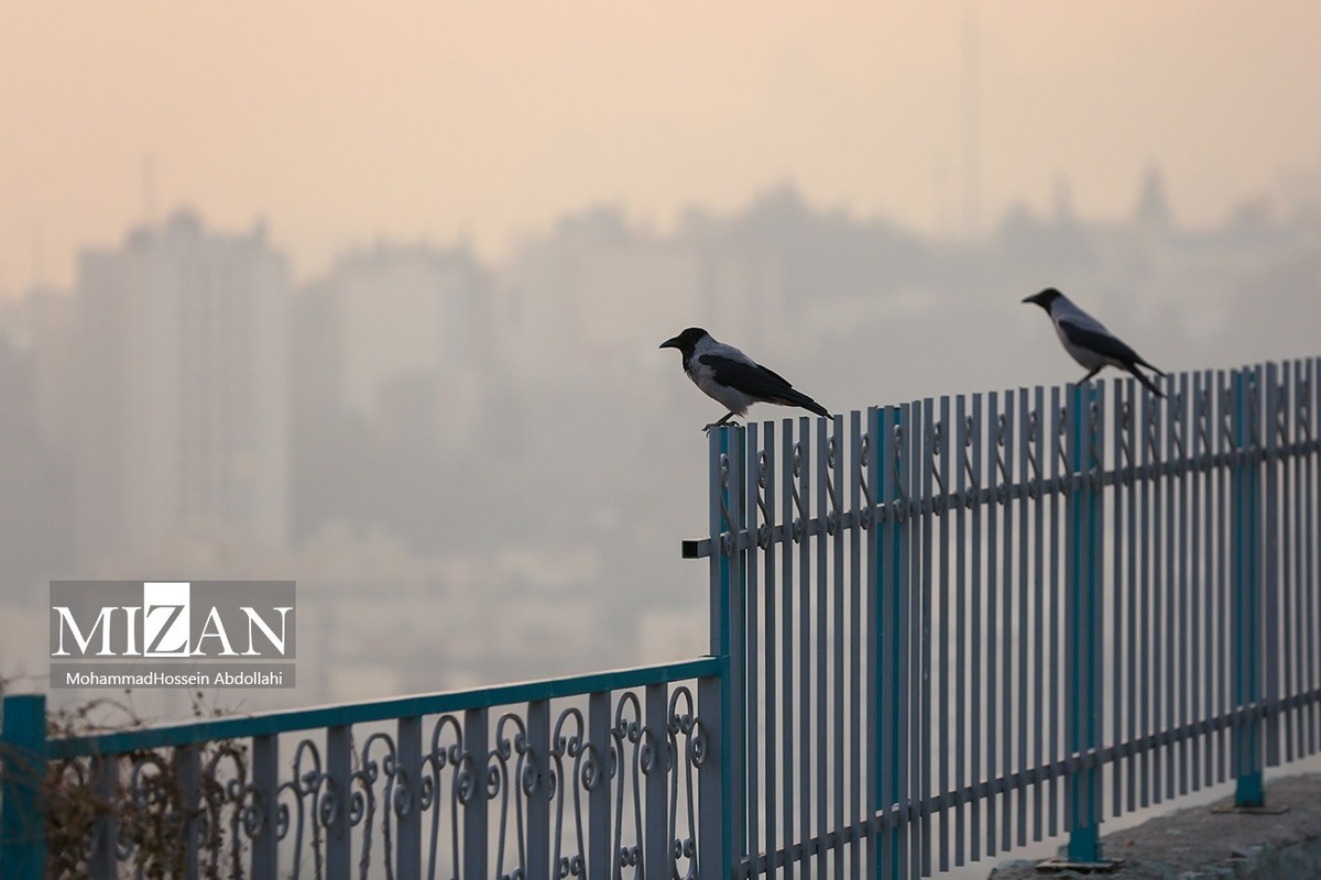 کیفیت هوای پایتخت ۱۳ آذر ۱۴۰۴؛ شاخص آلودگی ۱۲۴ و در وضعیت ناسالم برای گروه‌های حساس
