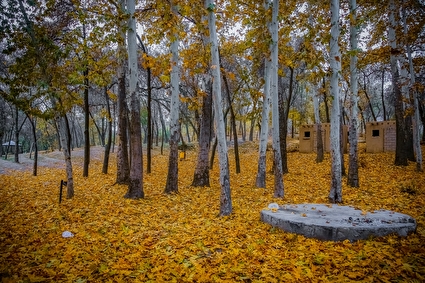 طبیعت پاییزی در پارک بابا امان بجنورد